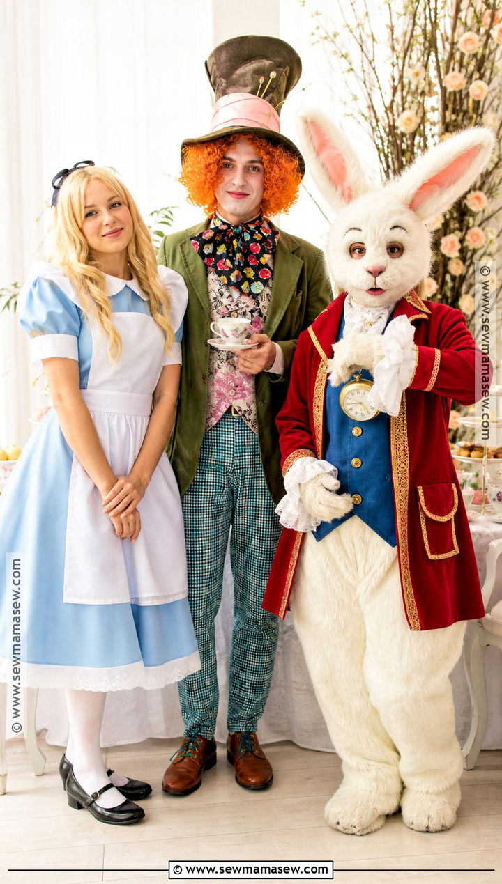 Alice Mad Hatter And White Rabbit Costume - 30 trio disney costumes