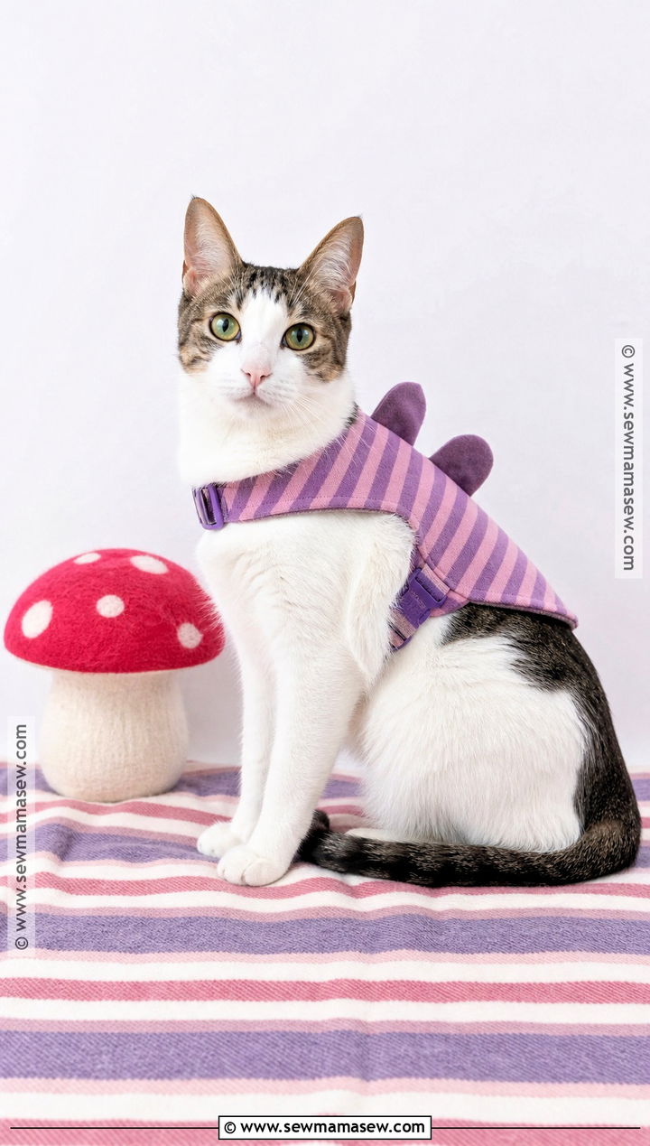 Cat Cheshire Cat Costume - 50 cheshire cat costume ideas