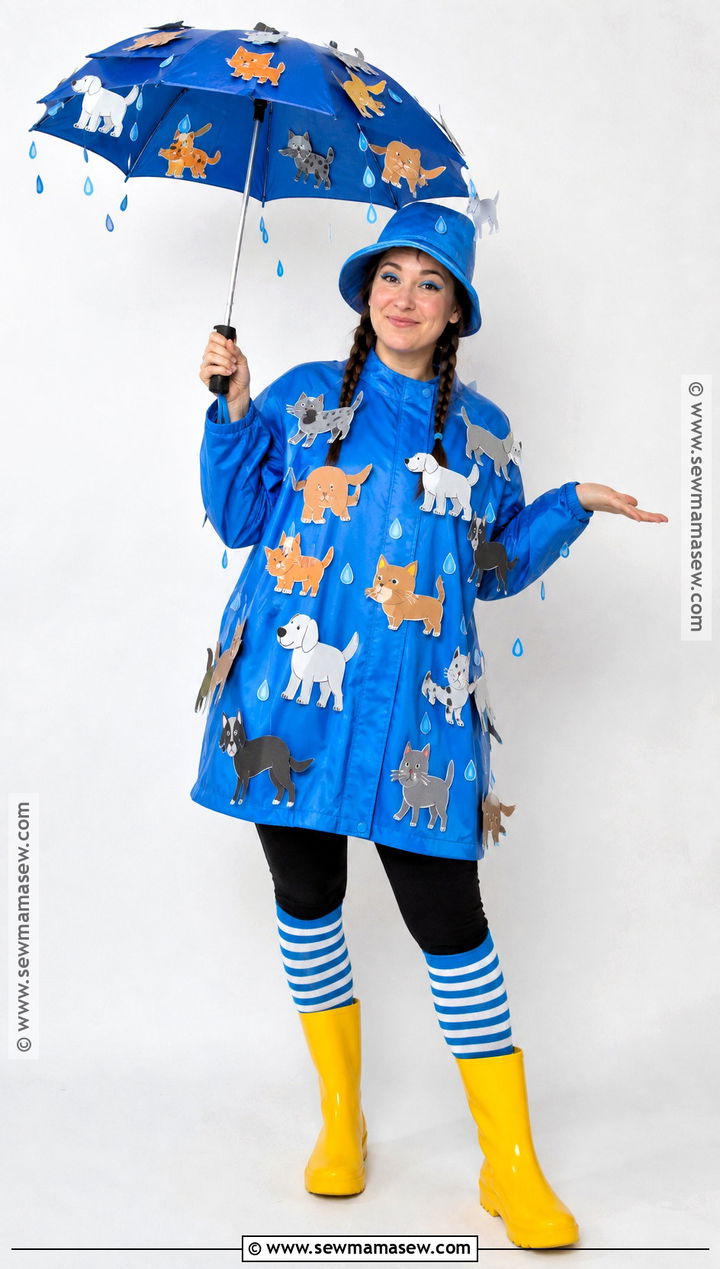 Easy Raining Cats And Dogs Costume - 35 halloween costume easy ideas