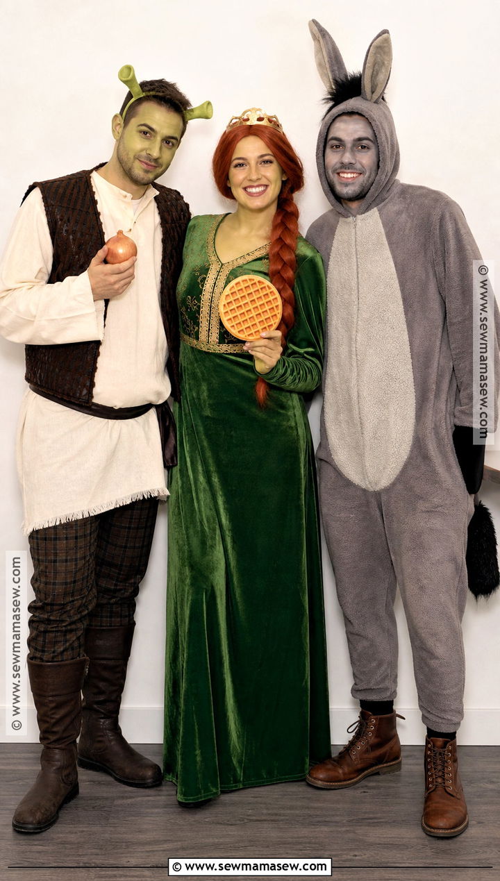 Shrek Fiona And Donkey Costume - 30 costume ideas for 3 for friends