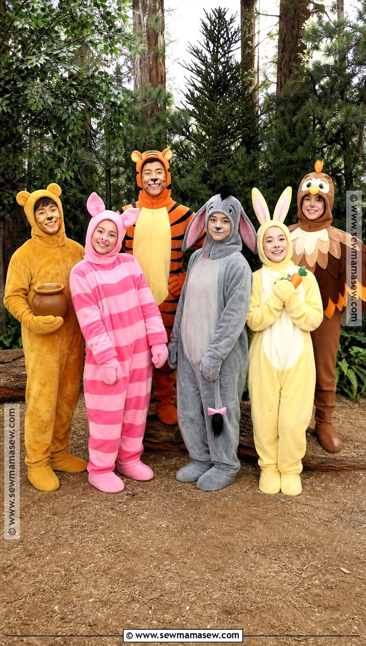 Winnie The Pooh Group Of Six Costume - 40 winnie the pooh costumes